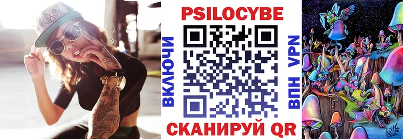 OMG ссылка  Дмитриев  Галлюциногенные грибы Cubensis  даркнет сайт 